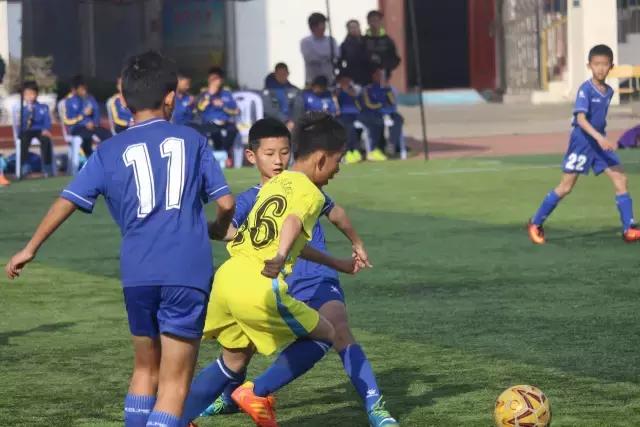 厦门青训足球联赛直播,青训厦门