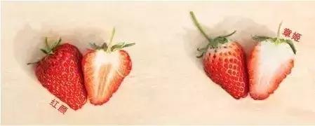 给大家推荐一款好吃的草莓,最好吃的草莓排行榜
