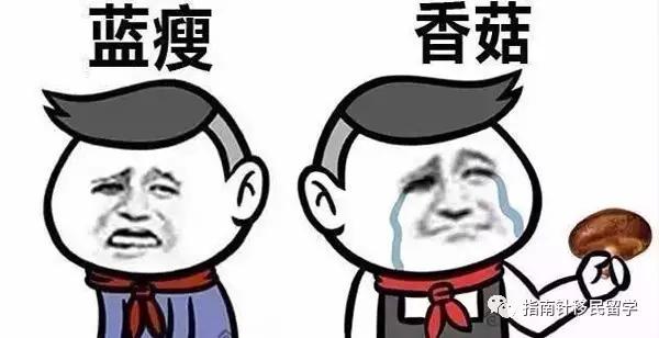 维州ICT190州政府担保暂时关闭！ICT的小伙伴怎么办？