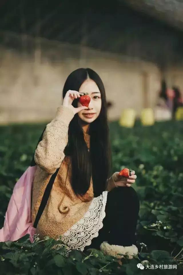 「话莓」之四：一颗草莓走红的背后