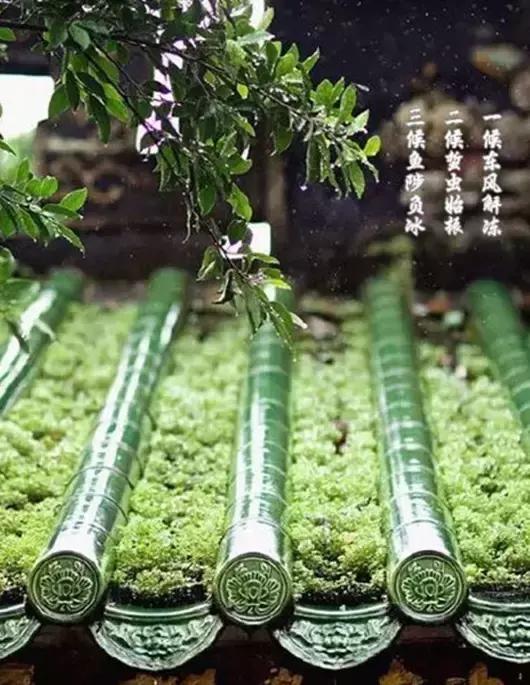 立春了怎么办小妙招,立春特别冷怎么回事