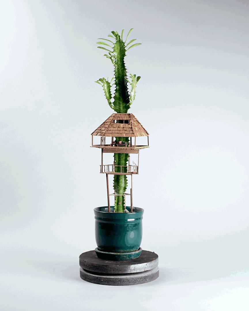 瀹ゅ唴鍒涙剰缁挎,瀹ゅ唴缁挎鏅閫犲瀷璁捐