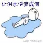 没交税失信被执行人有什么影响啊,失信被执行人可以报税吗