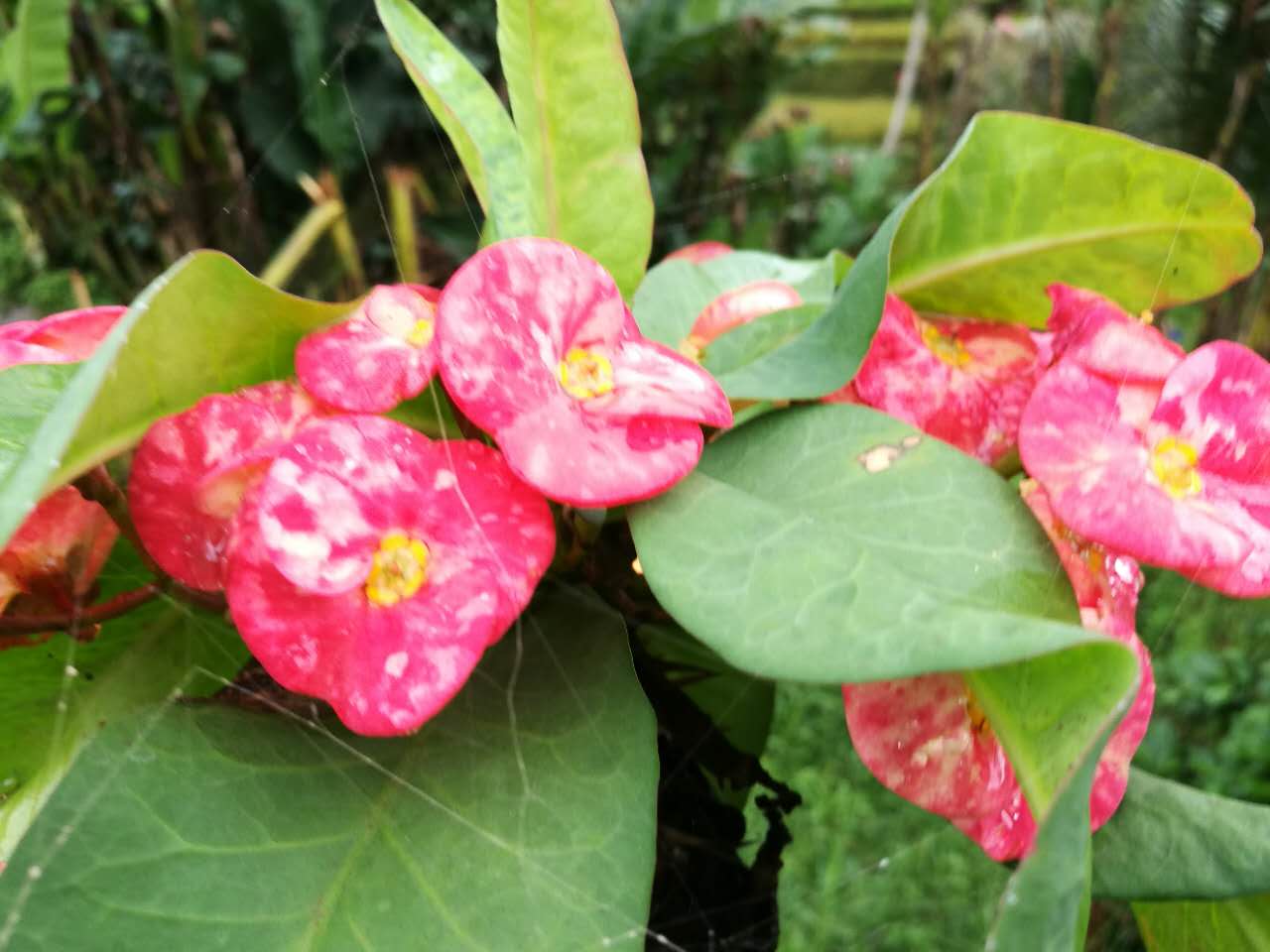 过年不应该错过的事情,春节不可错过的那些事