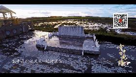 沈阳的未来会发展成什么样,沈阳发展变化