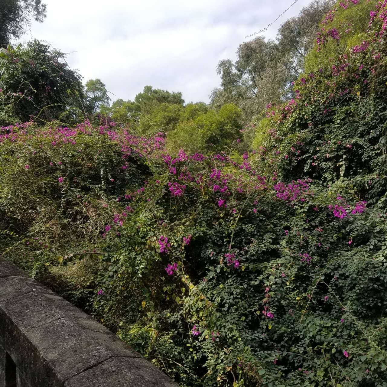 春节去珠海合适吗,珠海港澳游
