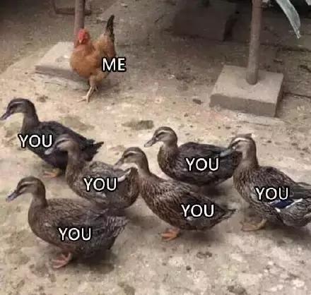 各大牌鸡年限定款,外国人对“鸡”有什么误会?