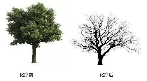 第一次化疗头发全掉光属于正常吗,化疗后不洗头能减少掉头发呢