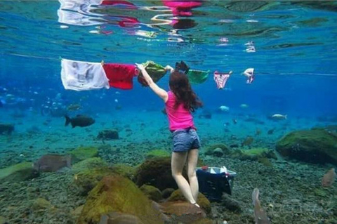 泰迪喝酒喝醉了,泰迪喝醉了怎么办