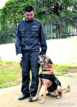 如何从牙齿上判断小孩是否铅中毒,大人口腔细菌对宝宝危害真实案例