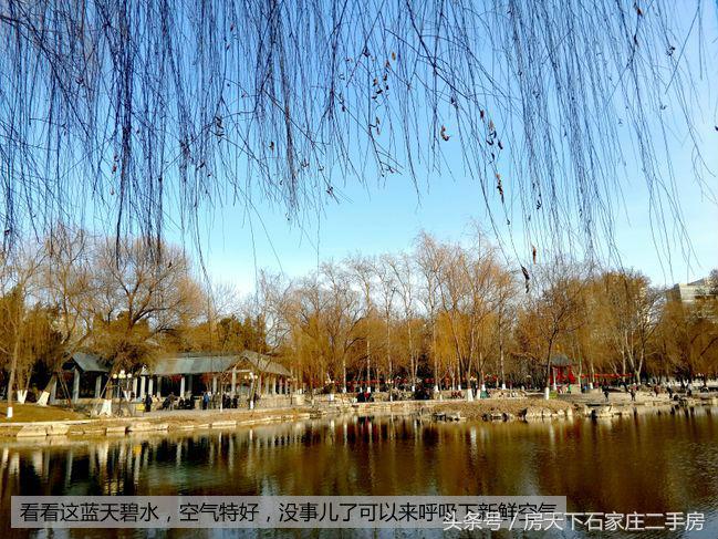 银宏花苑户型好不好,银宏花苑划片