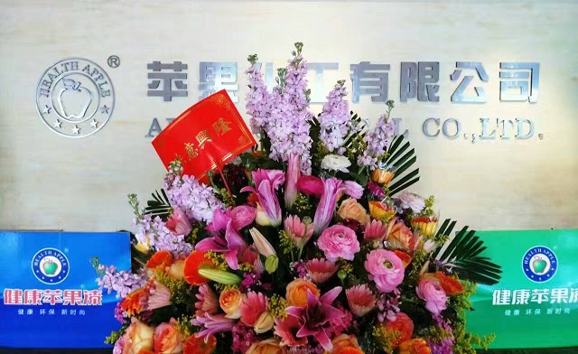 灯塔涂料南港项目正式开工,正月二十工厂开工大吉大利