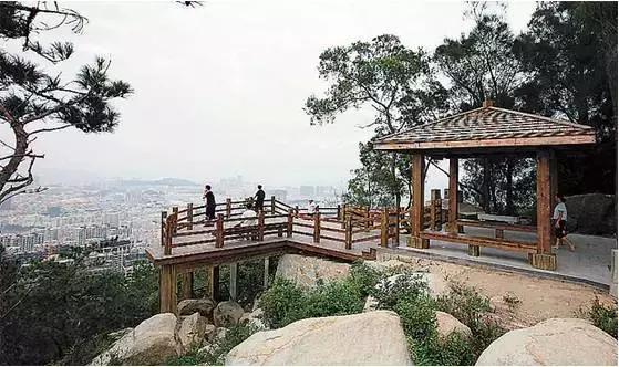 周末在厦门去哪玩最合适又不贵,周末厦门去哪里玩好