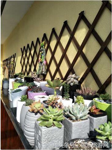 千岛湖畔最依山磅水的10家民宿，清晨时宛如仙境（上篇）