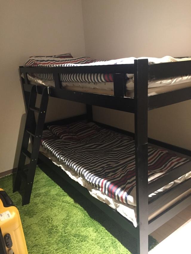 日本dokkan植物酵素老爸评测 (春节日本15天自由行)