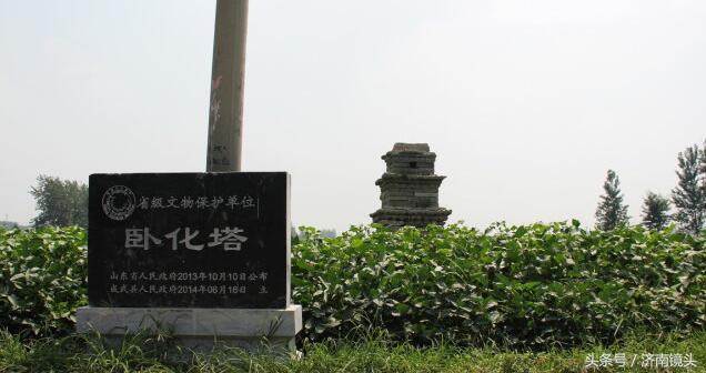 家在齐鲁系列菏泽成武