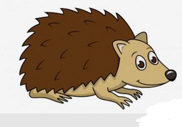 刺猬简笔画简单又漂亮,刺猬简笔画冬眠