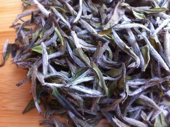 帮你冲走过年吃的所有罪恶感，快看过来