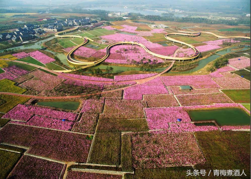 江苏一个四线城市，被誉为地球上的“生命圣地”