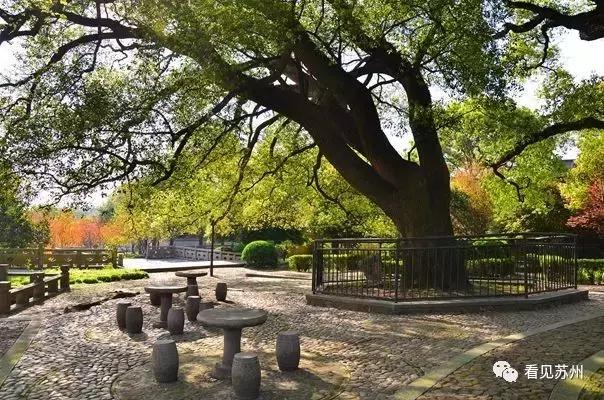 醉美苏州好去处太湖吴中,苏州太湖边哪里最好看攻略