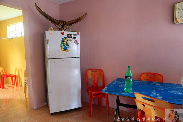 毛里求斯真实生活现状,毛里求斯当地生活