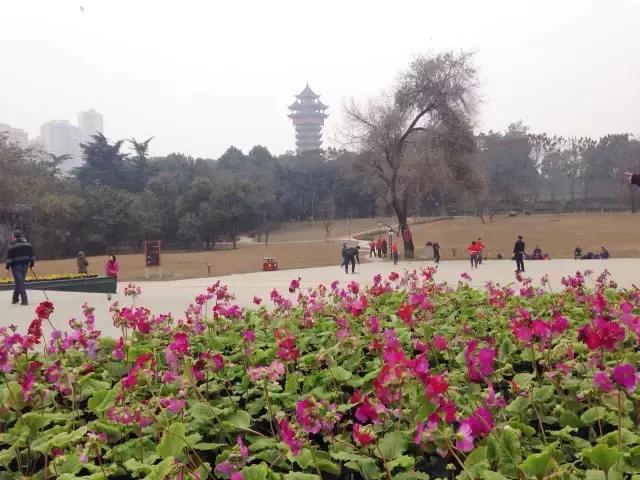 鑺辨捣閲嶇鏉ヨ,鑺辨捣鏉ヨ