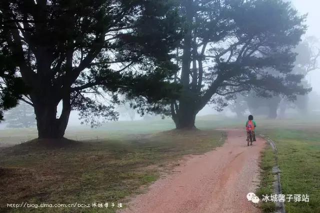 澳大利亚小镇都叫什么名字,澳大利亚蓝山为什么叫蓝山