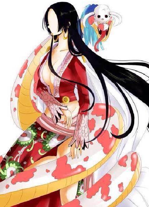 海贼迷的暗号,海贼王顶上战争暗号什么意思