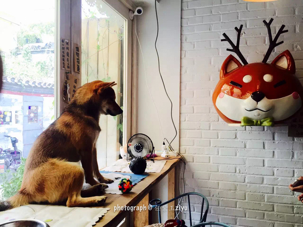 北京最浪漫的咖啡店,北京情人节约会餐厅推荐