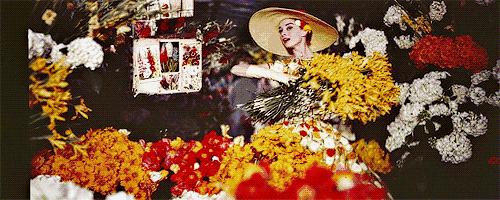 情人节过得好，女票生气少~这份指南请收好，记得艾特自己的男票