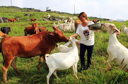 2024年一号文件养殖业,养殖业最新政策通知