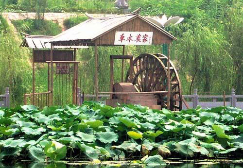 东方伊甸园最新区域名,东方伊甸园商务量贩会所