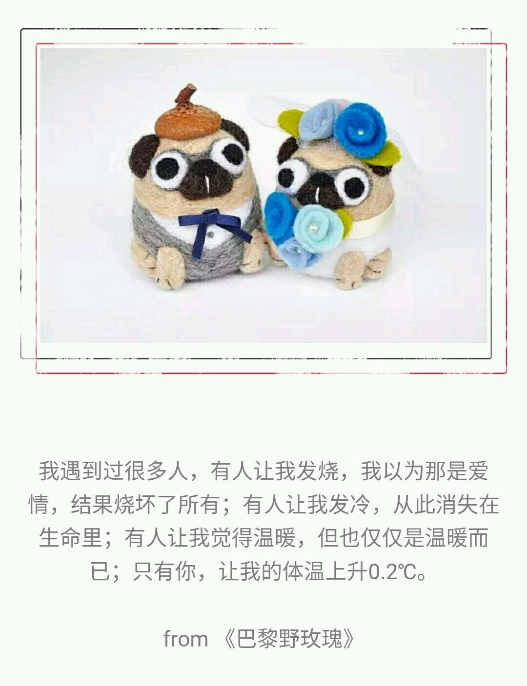 谁能用一句话说爱情,用一句话来诉说爱情