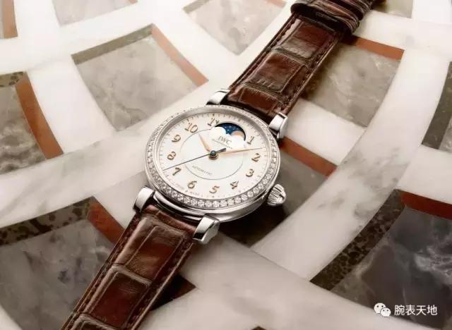 我看着你转身离去,我看见一棵树