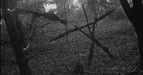 八卦骗局,八卦中的谣言有哪些