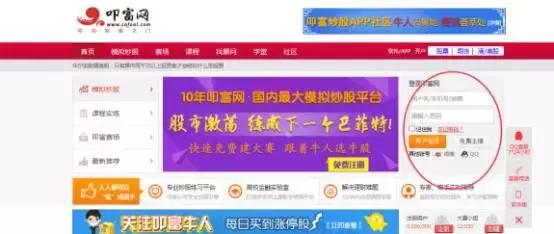 炒股软件入门教程,炒股基础入门教程