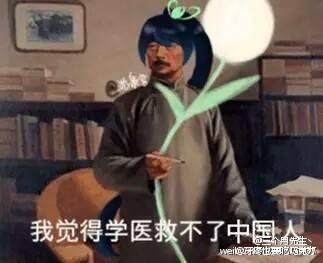 阴阳师萤草有几个形态,阴阳师萤草后期有用吗