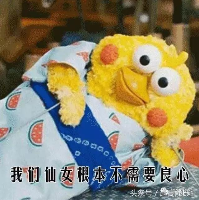 国产良心综艺完整版,口碑爆棚这部良心国产剧