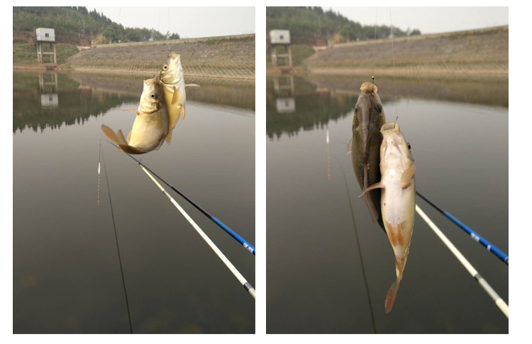 绌洪挬鎮熼亾绂呴殣楸肩,绌洪挬鎮熼亾绂呴殣鐖嗙瑙嗛