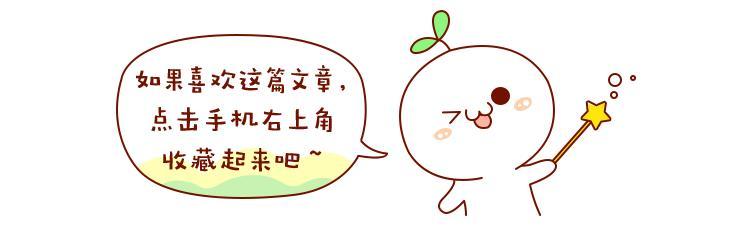 装修前必看6大装修干货,装修前100天的日记