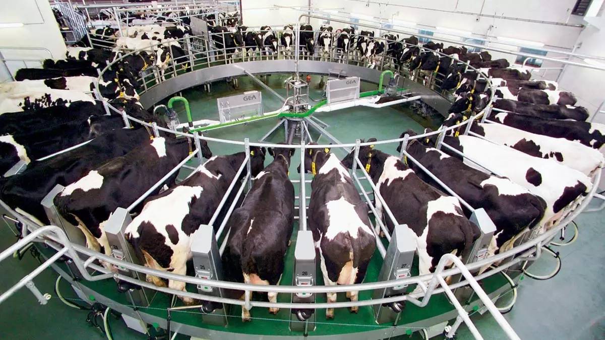 你喝到的每一滴牛奶里也许都含有以色列SRC公司的技术