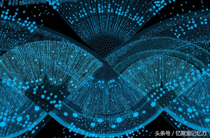 记忆单词的方法和口诀,正确记忆单词的方法