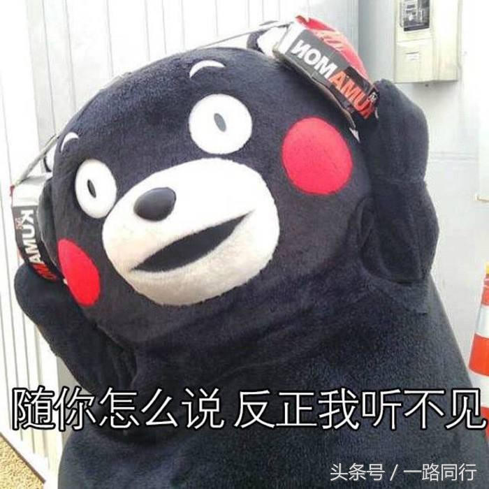 旅游如何做到互相尊重,旅游被区别对待