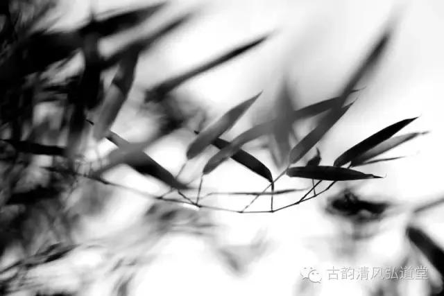 静在自然中,静悟人生真谛