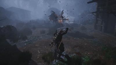 ps4仁王忍者流,PS4仁王选哪个