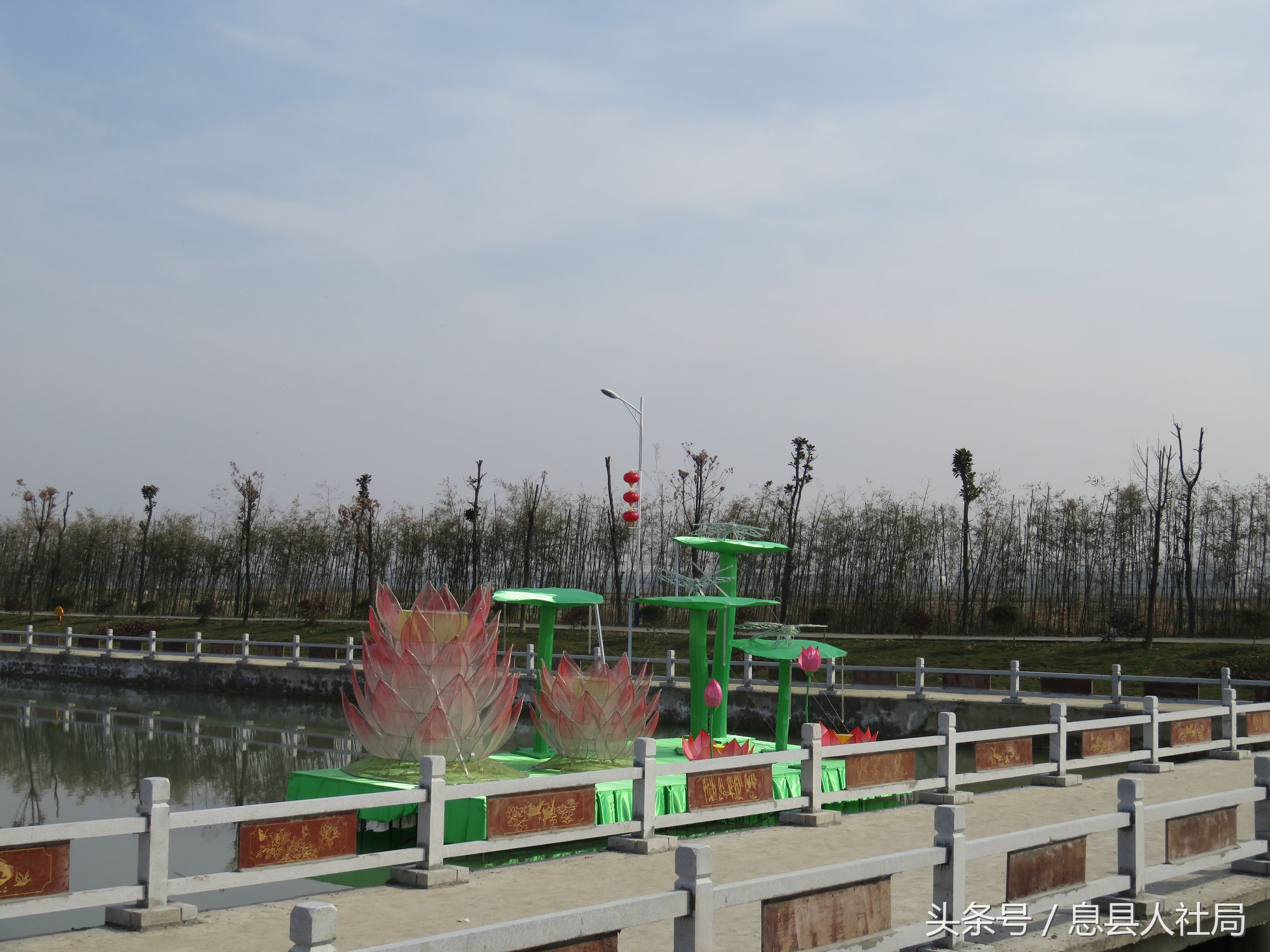 河南新蔡春风行动,信阳市春风行动