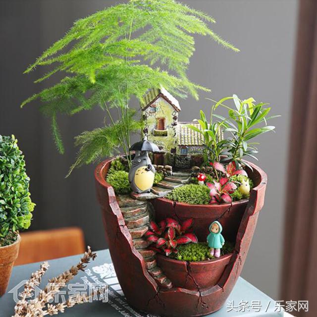 哪些绿植除甲醛效果好,哪种除甲醛的绿植最好用