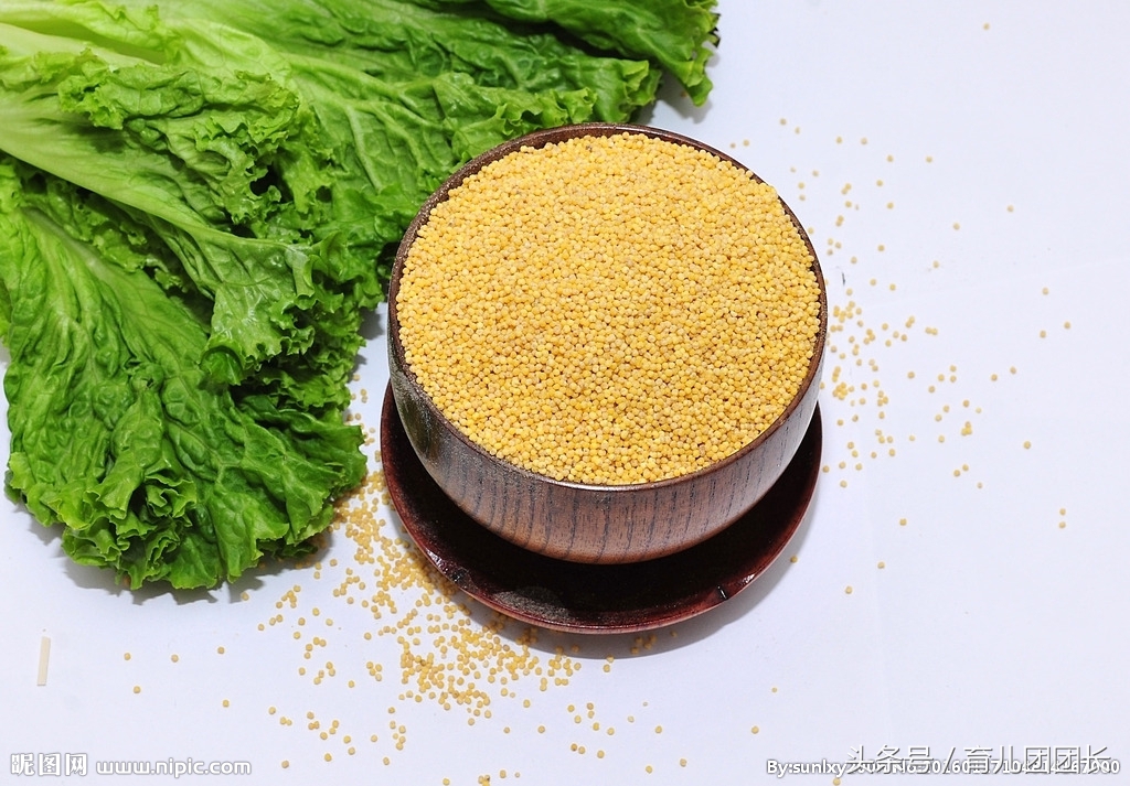 怀孕初期养胎食谱,养胎应该吃哪些食物