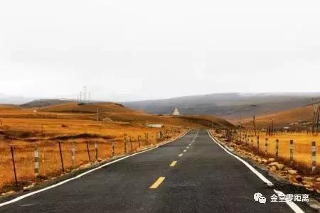 虐狗秀恩爱名场面,虐狗秀恩爱高甜视频