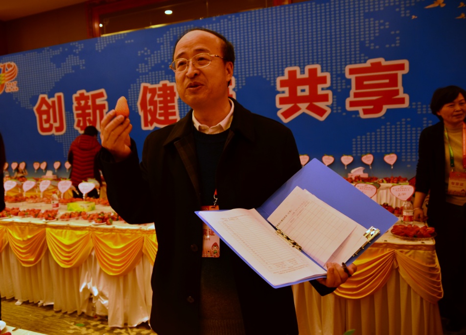 谁是草莓界的NO.1？国内外最好吃的草莓都来长丰打擂！